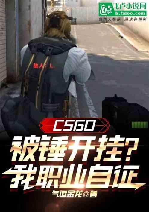csgo开挂还嘲讽