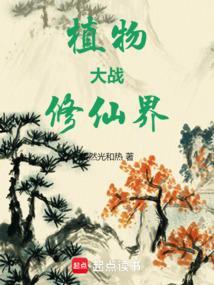 植物大战视屏