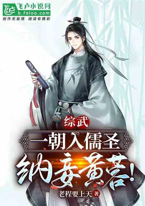 综武一朝入儒圣纳妾黄蓉