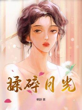 揉碎月光笔趣阁双男主