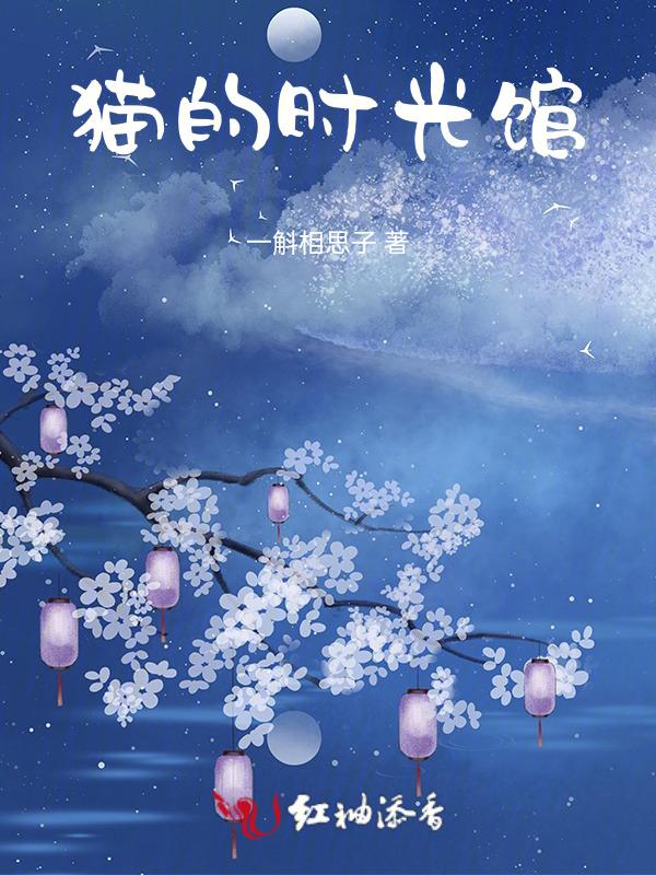 猫的时刻