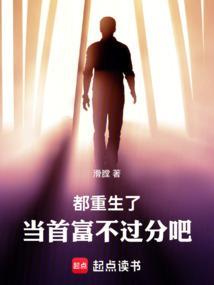 重生首都当继承人