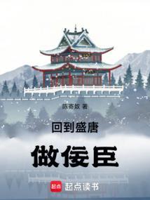 穿越回盛唐的文章