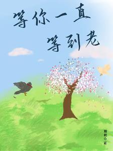 等你老了这首歌