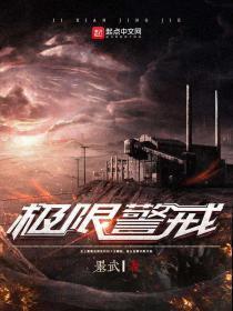 极限警戒 顶点