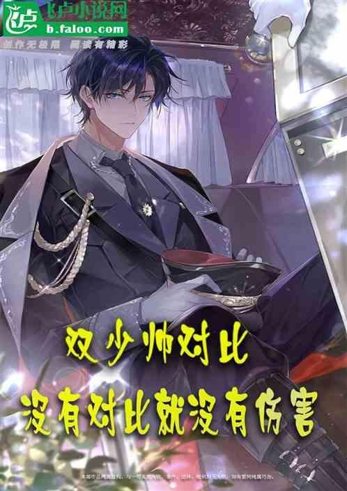 少帅的双面宠妻全文阅读