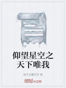 仰望星空下一句是什么