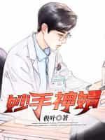 妙手医婿免费阅读