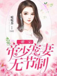 一婚二宝帝少宠妻无节制完整版