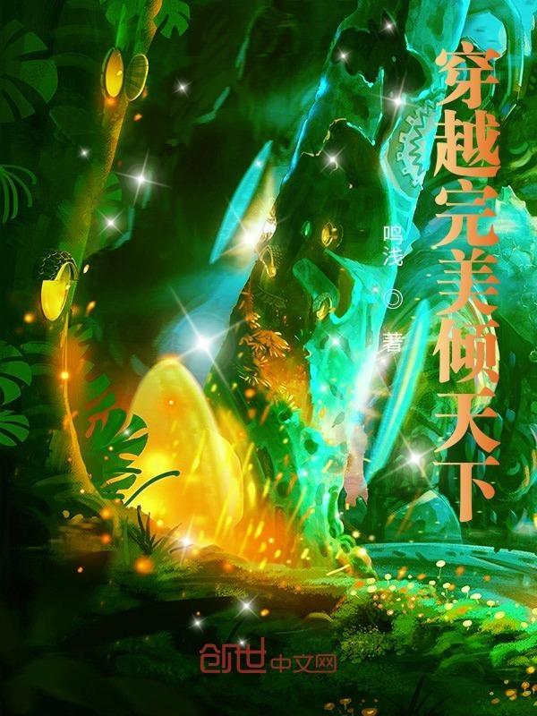 穿越之完美之旅
