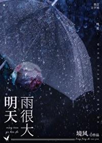 明天雨很大境风笔趣阁