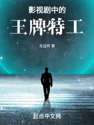 国产电视连续剧王牌特工