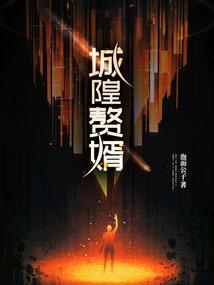 赘婿中的城市