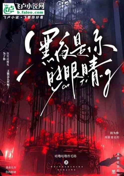 黑夜的眼睛歌词