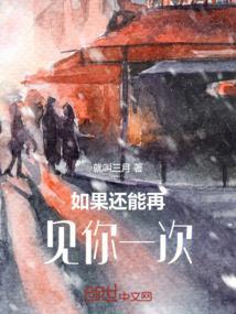 如果还能见你一次歌词