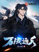 空姐背后二维码后续