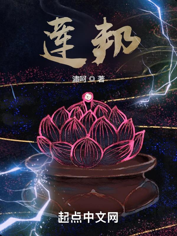 莲邦外墙砖