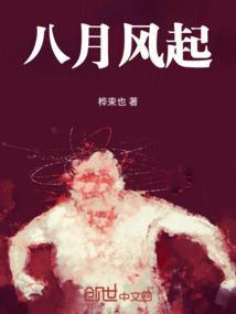 八月风暴什么意思