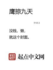 鹰掠九天TXT八零