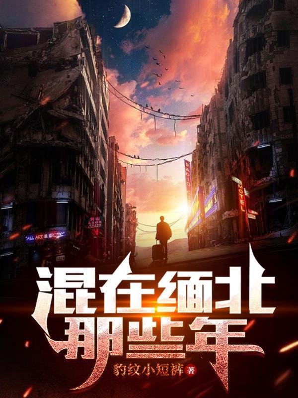 逗留在缅北中国公民名单