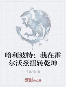 我在霍格沃茨偷偷修道攻略哈利