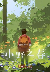 小野 v1 wood