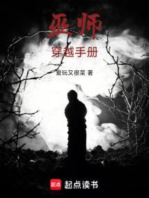 巫师穿越文野