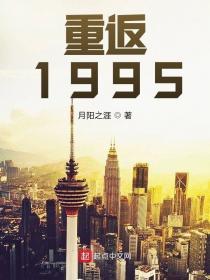 重返1995年