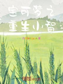神奇宝贝关于重生为小智