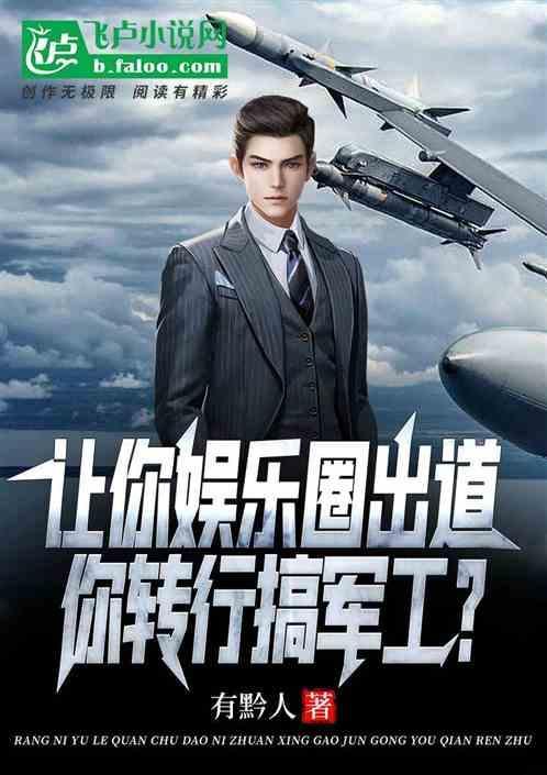 进娱乐圈的工作