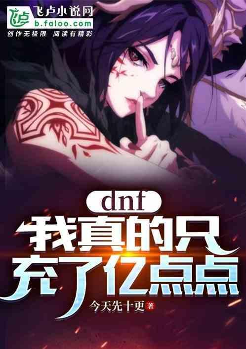 dnf充了几万块钱
