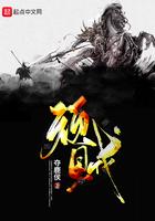 顽贼TXT百度