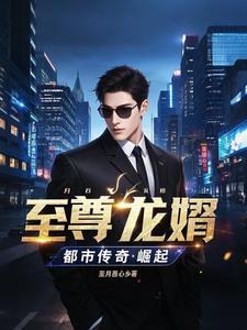 至尊龙婿全文