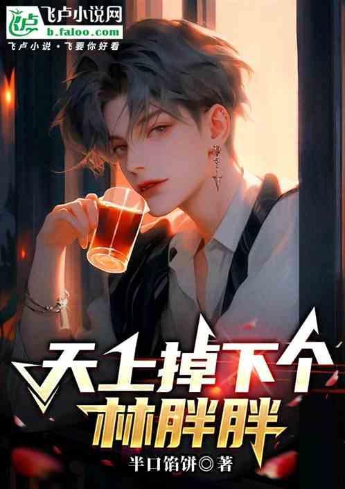 天上掉下个林妹妹的歌词