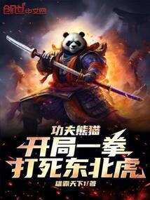 功夫熊猫 格斗