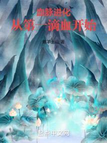血脉进化系统云飞
