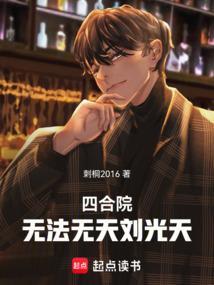 四合院刘光天笔趣阁