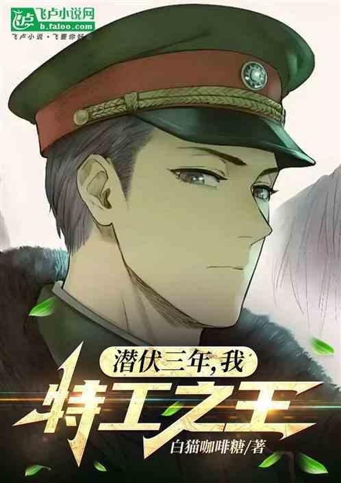 潜伏 谍战剧