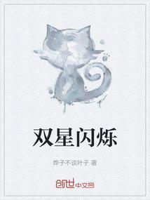 闪星双翼游戏