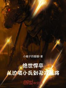 绝世兵王百科