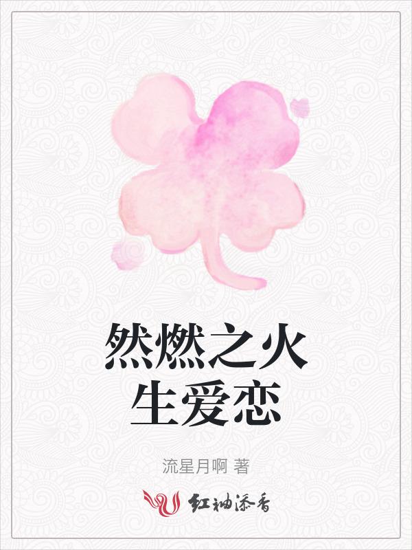 燃燃升起txt