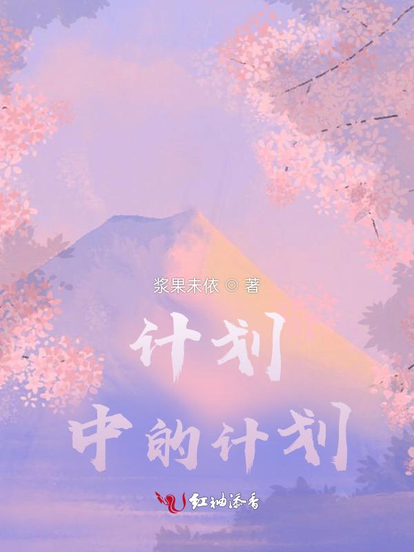 计划中的计划动画