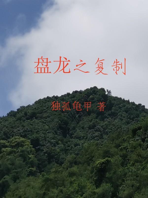 盘龙之好感