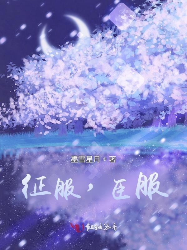 征服什么意思啊