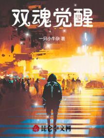 双魂共鸣是哪个职业的技能