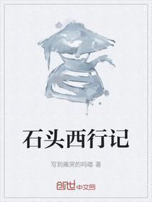 石头记的视频