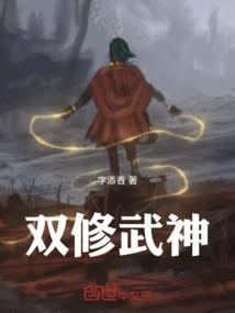 双修武功秘籍名称