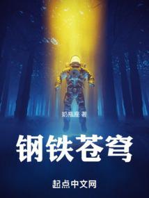 钢铁苍穹飞船