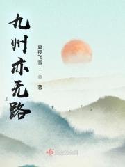 九州道路无柴虎