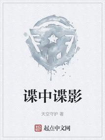 谍中谍讲的是什么
